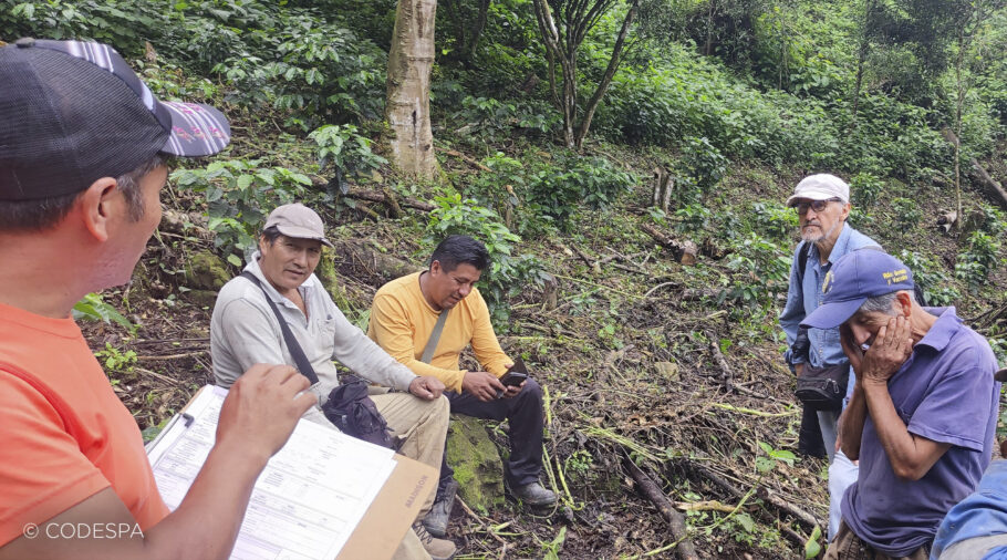 diagnóstico en campo a productores