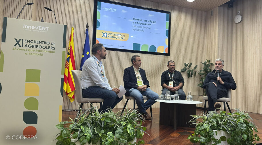 innovert zaragoza talento