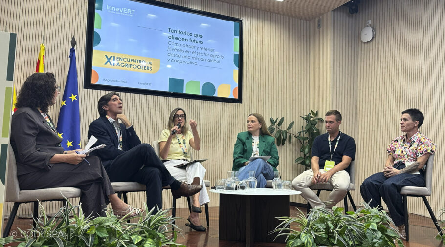 innovert zaragoza futuro