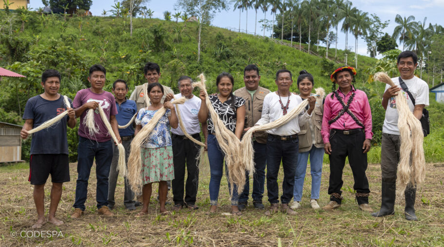 asociación fibra plátano