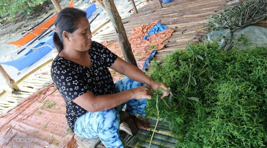 agricultora algas filipinas