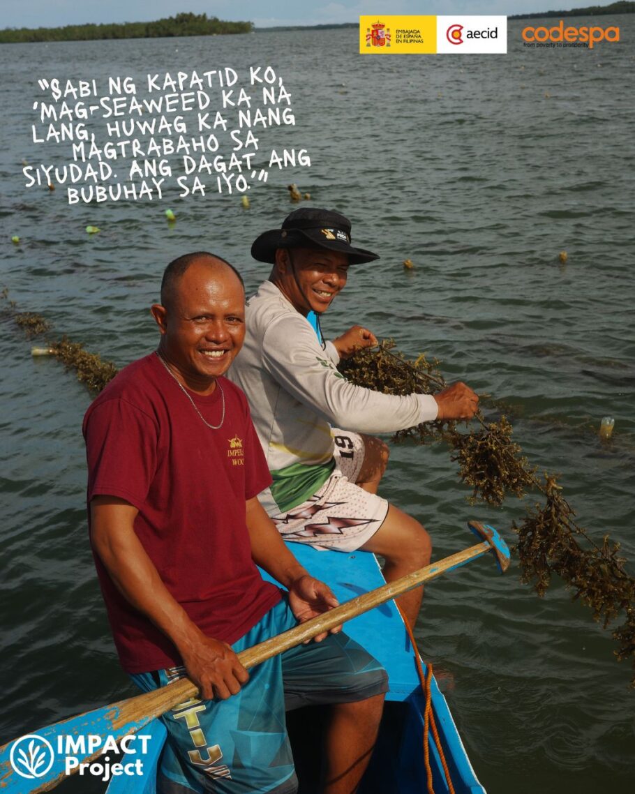 productores algas filipinas