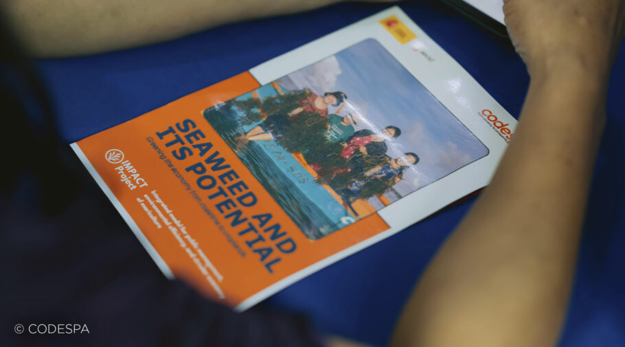 panfleto filipinas beneficios algas