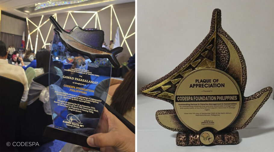 codespa filipinas premios