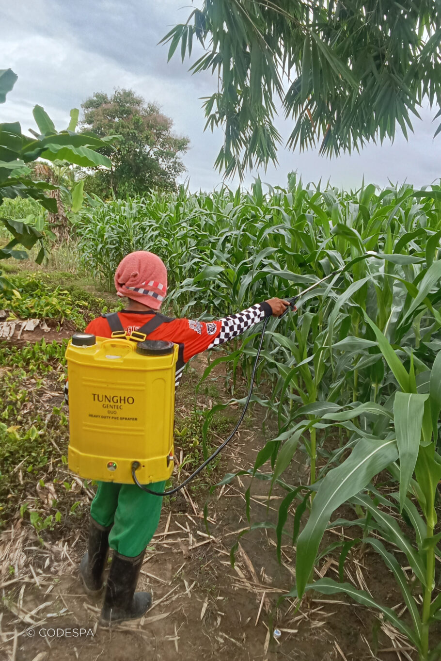 biofertilizer