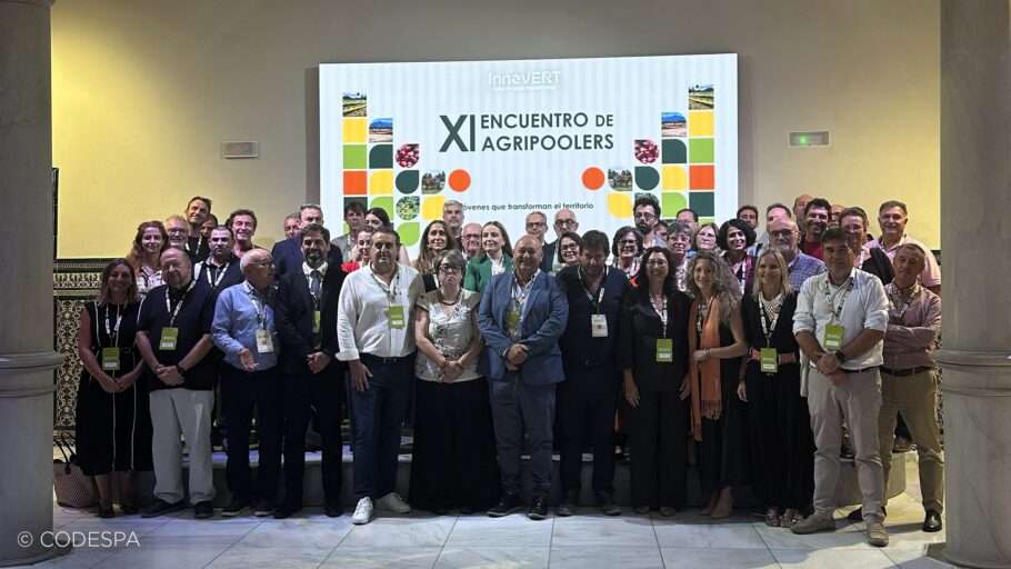 foto grupo evento zaragoza
