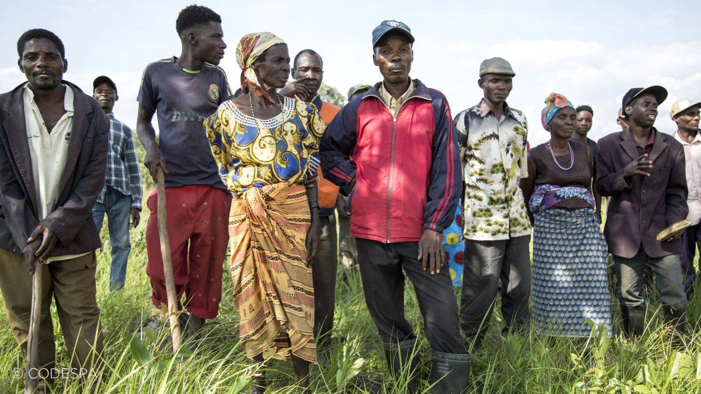 grupo angola agricultores