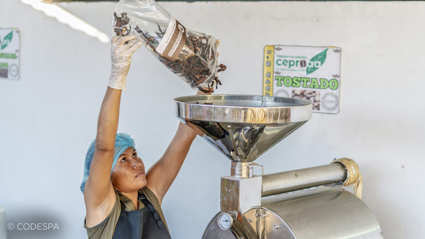 cacao peruano harina