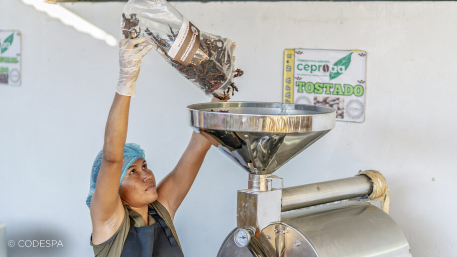 cacao peruano harina
