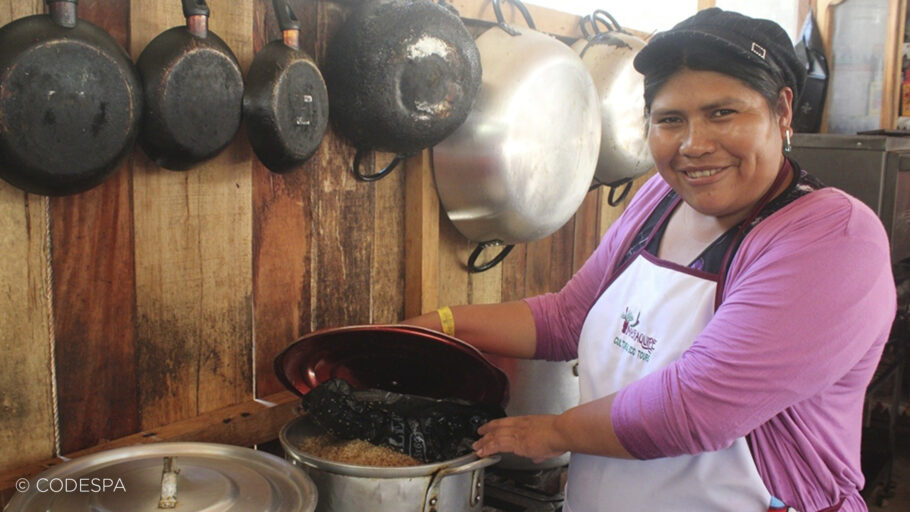 mujer altiplano bolivia cocinera
