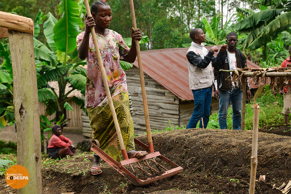 Elisabeth Shashire RDC