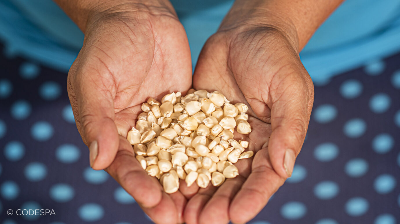 semillas granjas organicas ecuador