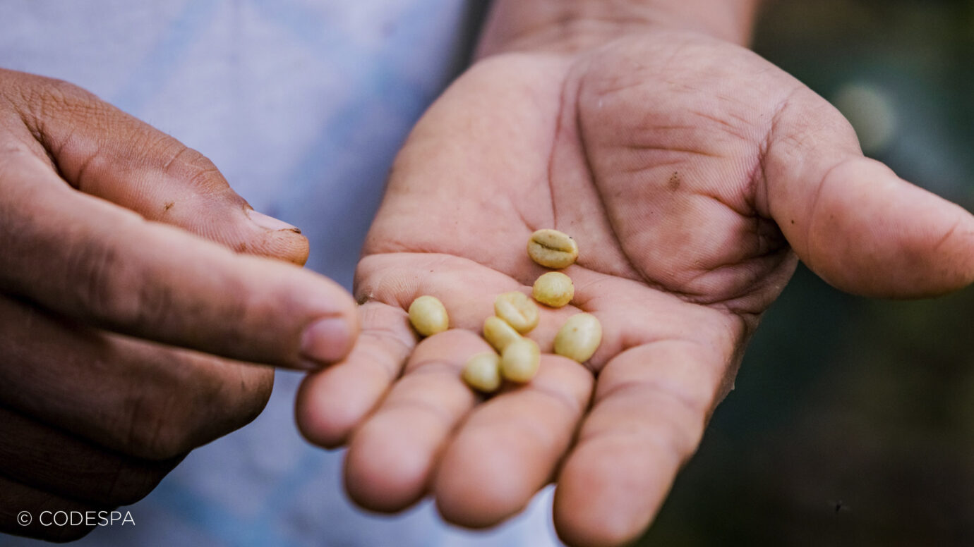 granjas organicas semillas ecuador