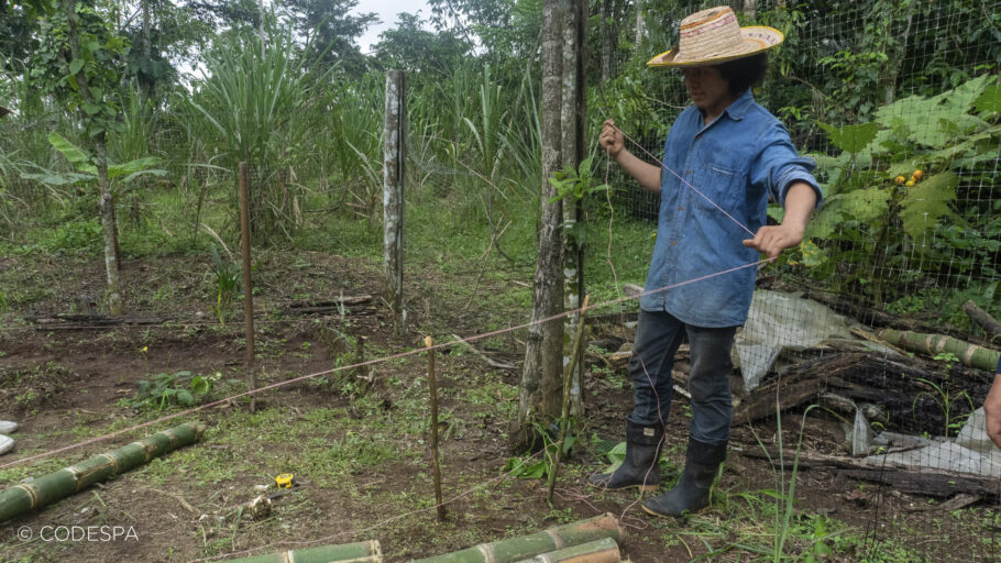 insumos agrícolas