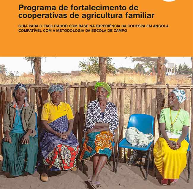 Manual fortalecimiento cooperativas