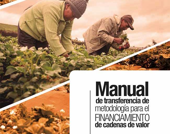 Manual financiamiento cadenas valor