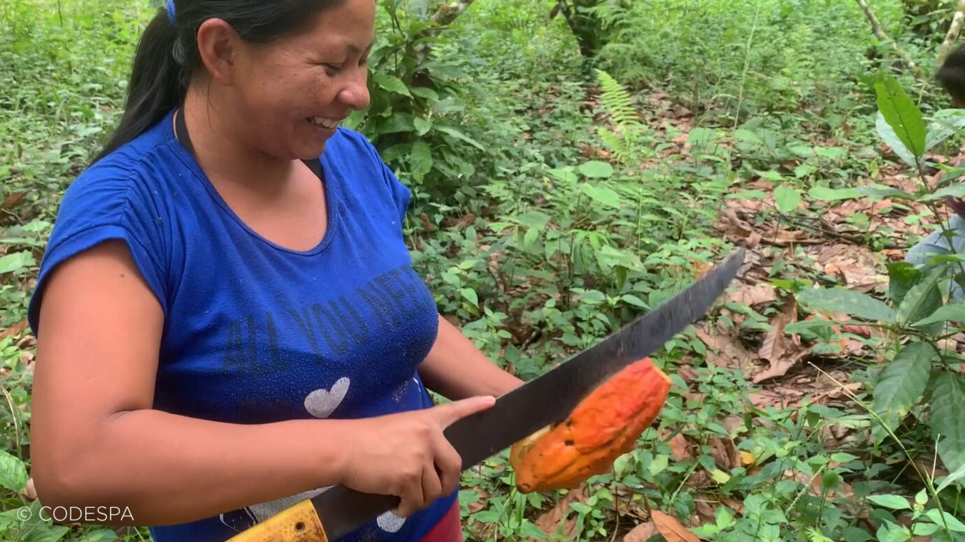 productora de cacao ecuador