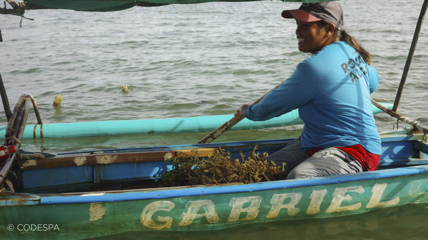 mujer filipinas cultiva algas mar