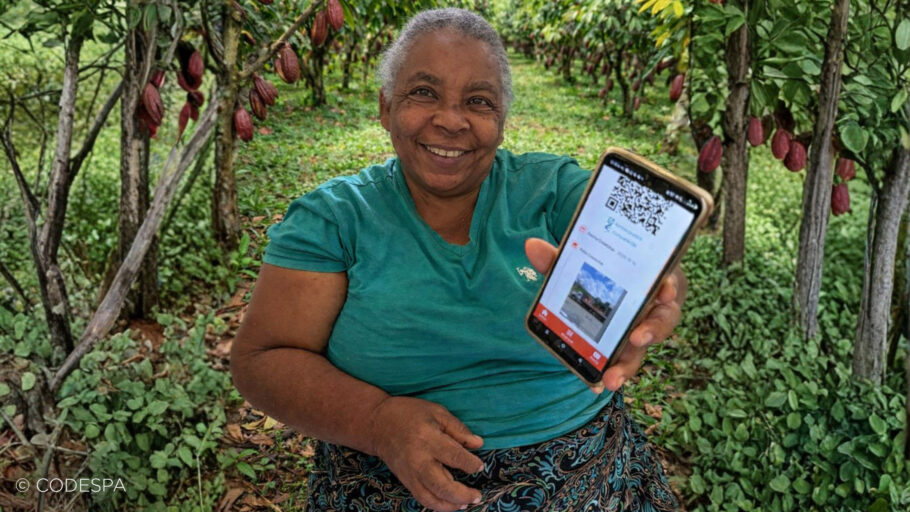 productora cacao dominicana