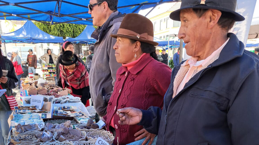 feria artesanía ecuador