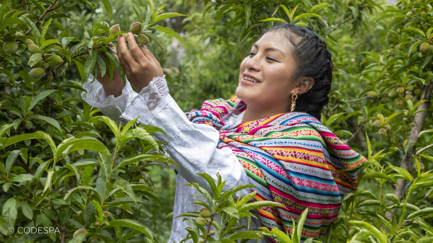 emprendedora work4progress peru