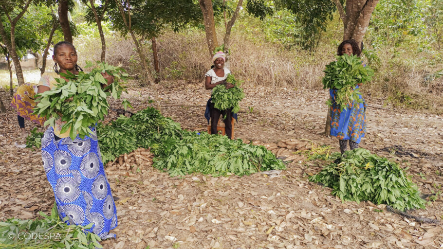 mujeres congo agricultoras