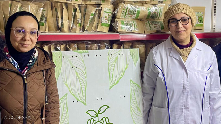 emprendimiento sostenible marruecos