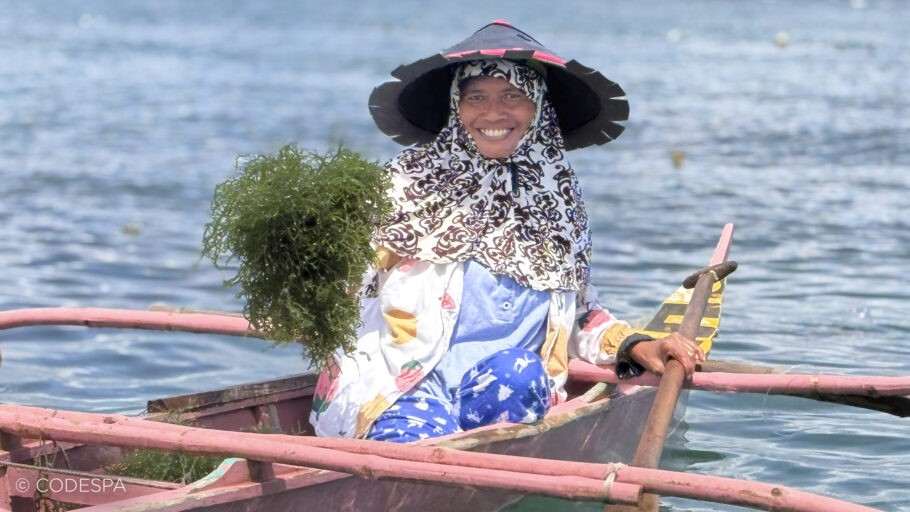 productora de algas filipinas