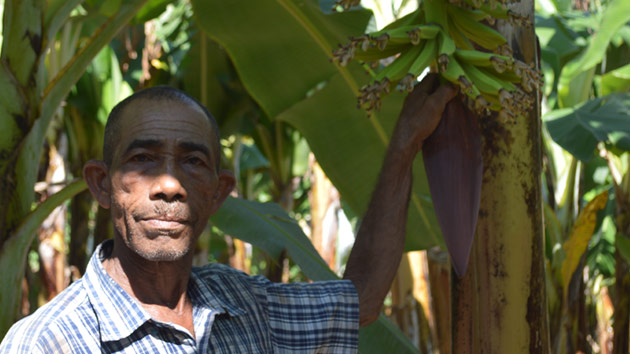 Llevamos el agrocrédito, en República Dominicana, a zonas donde la pobreza llega al 70% de las familias