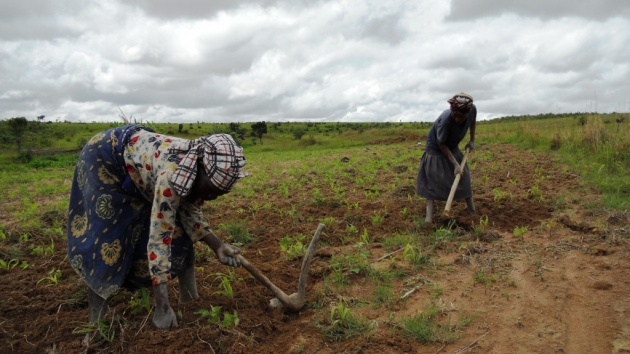 angola-farmers