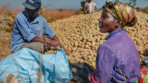 Los bancos de semilla: desarrollo de mercados rurales para acabar con el hambre en Angola