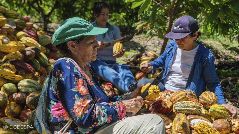 cacao peruano