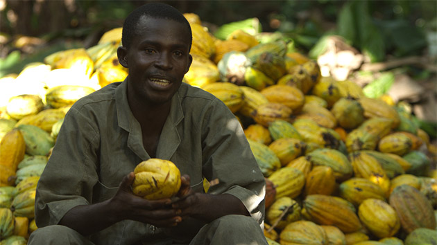 Cacao sostenible y responsable