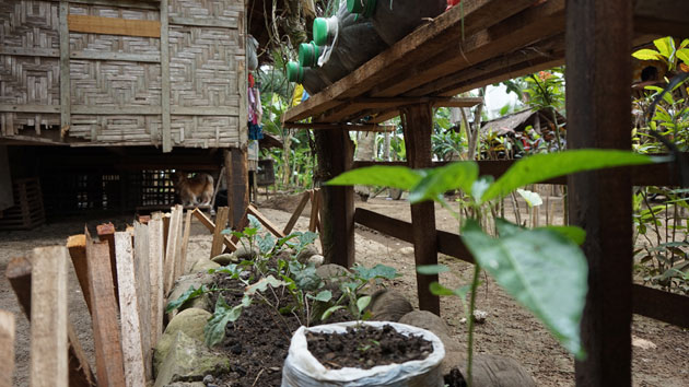 El cambio climático: un fenómeno que lleva el hambre a Filipinas