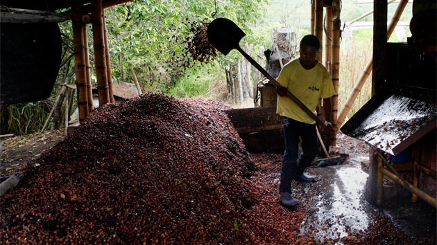 CODESPApro y la sistematización de aprendizaje integrada en los proyectos productivos en Colombia