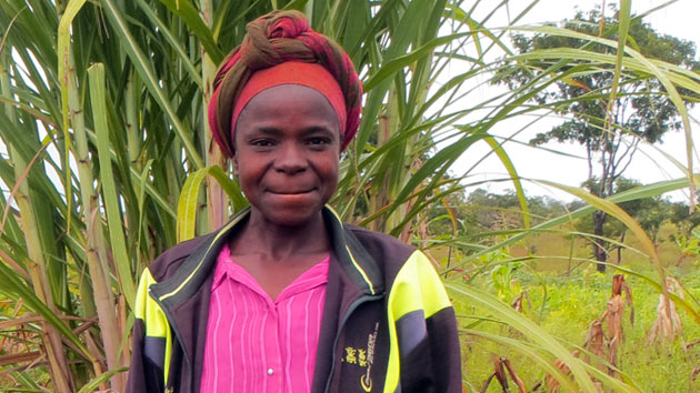 ¿Cómo desarrollamos un mercado rural de semillas de calidad para agricultores pobres en Angola?