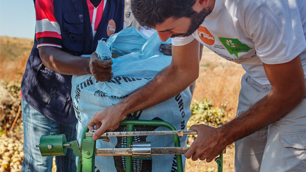 ¿Cómo sabemos que hay 793 millones de personas que pasan hambre?