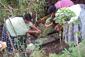 Una alternativa para las mujeres en Guatemala