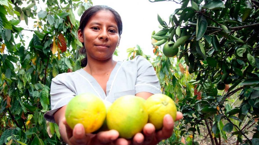 Fruta encapsulada para comunidades vulnerables en Colombia