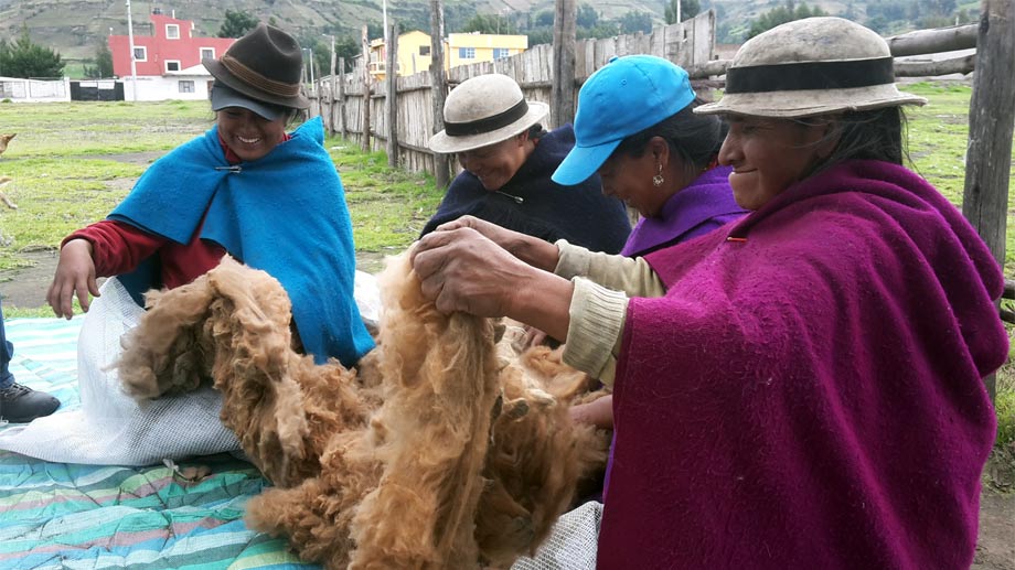 Inclusión de productores vulnerables en el mercado en Ecuador