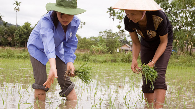 Una innovación para alcanzar la seguridad alimentaria en las zonas rurales de Vietnam