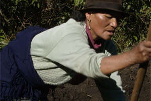 La mujer, principal protagonista de la actividad agrícola