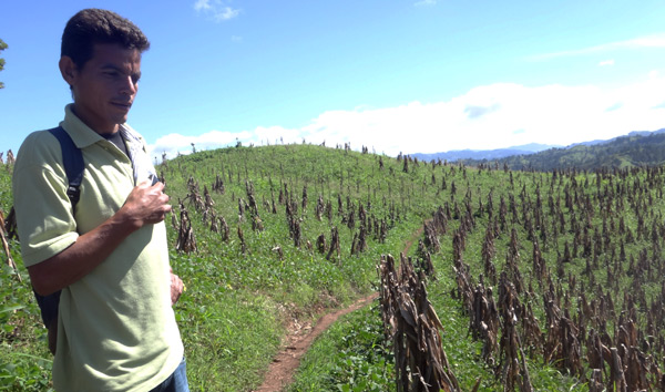 En Jinotega, Nicaragua, el 61,6% de la población sufre inseguridad alimentaria