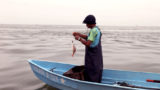 Pequeños pescadores luchan contra la pobreza en Esmeraldas