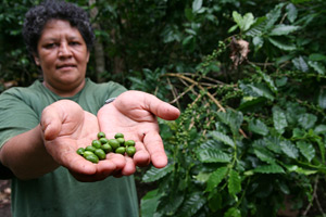 Agricultores de Nicaragua aumentan su producción de frijol y de café gracias al uso de una nueva tecnología de micro riego