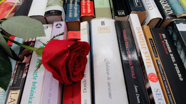 Recogida solidaria de libros para Sant Jordi