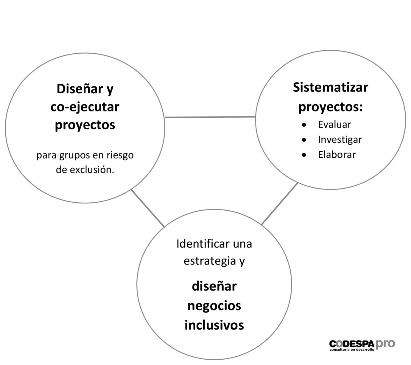 Asistencia Técnica