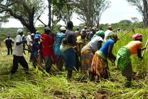 600 familias campesinas mejoran sus condiciones de vida en Angola gracias al cultivo de la soja