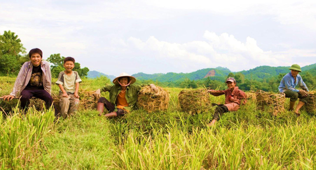 Consulta nuestro informe de evaluación externa sobre el desarrollo de mercados en Vietnam