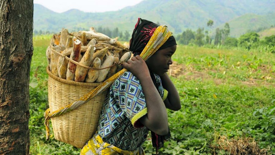 7 cooperativas, lideradas por mujeres, contra el hambre en Goma, R.D. del Congo